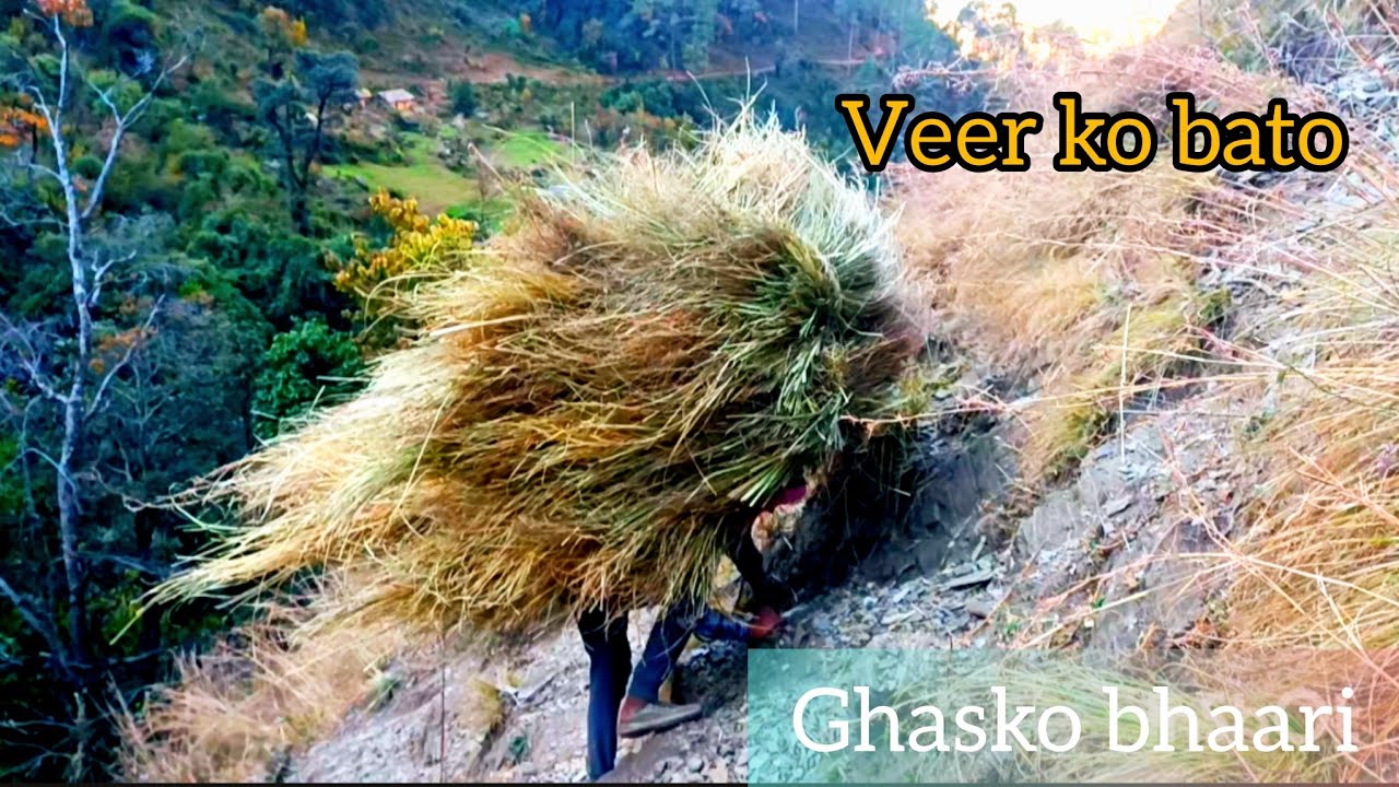 Real village struggle life in nepal 
