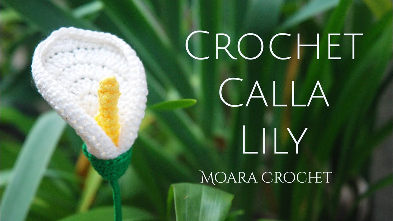 Crochet Calla Lily   Moara Crochet