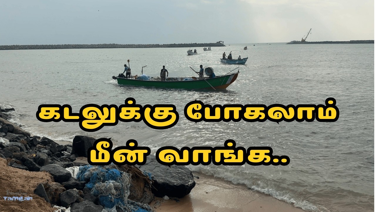 மீன் வாங்க கடலுக்கு போகலாம். Subscribe & support makkale. #fishing #fishinglife #fisherman