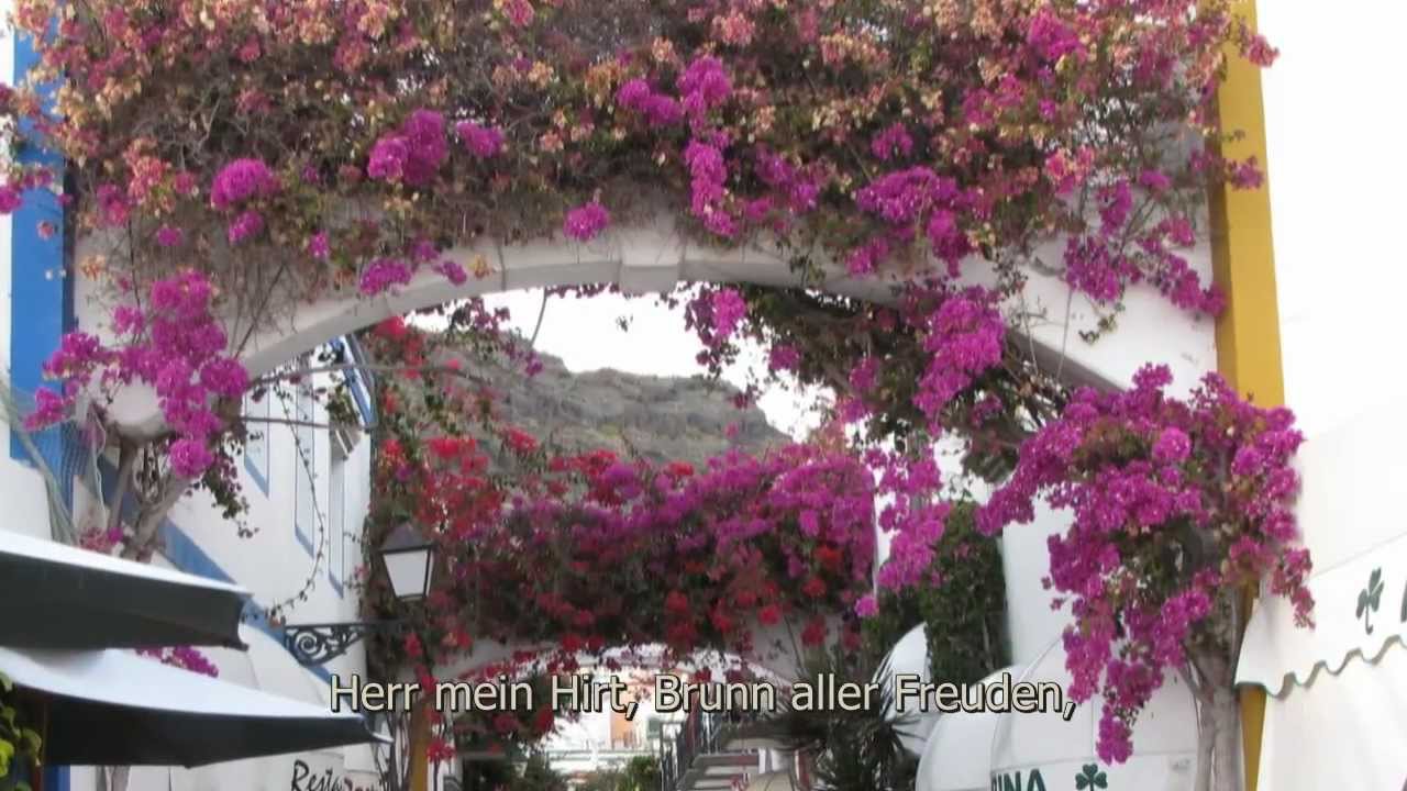 Warum sollt ich mich denn grämen? (Paul Gerhardt)