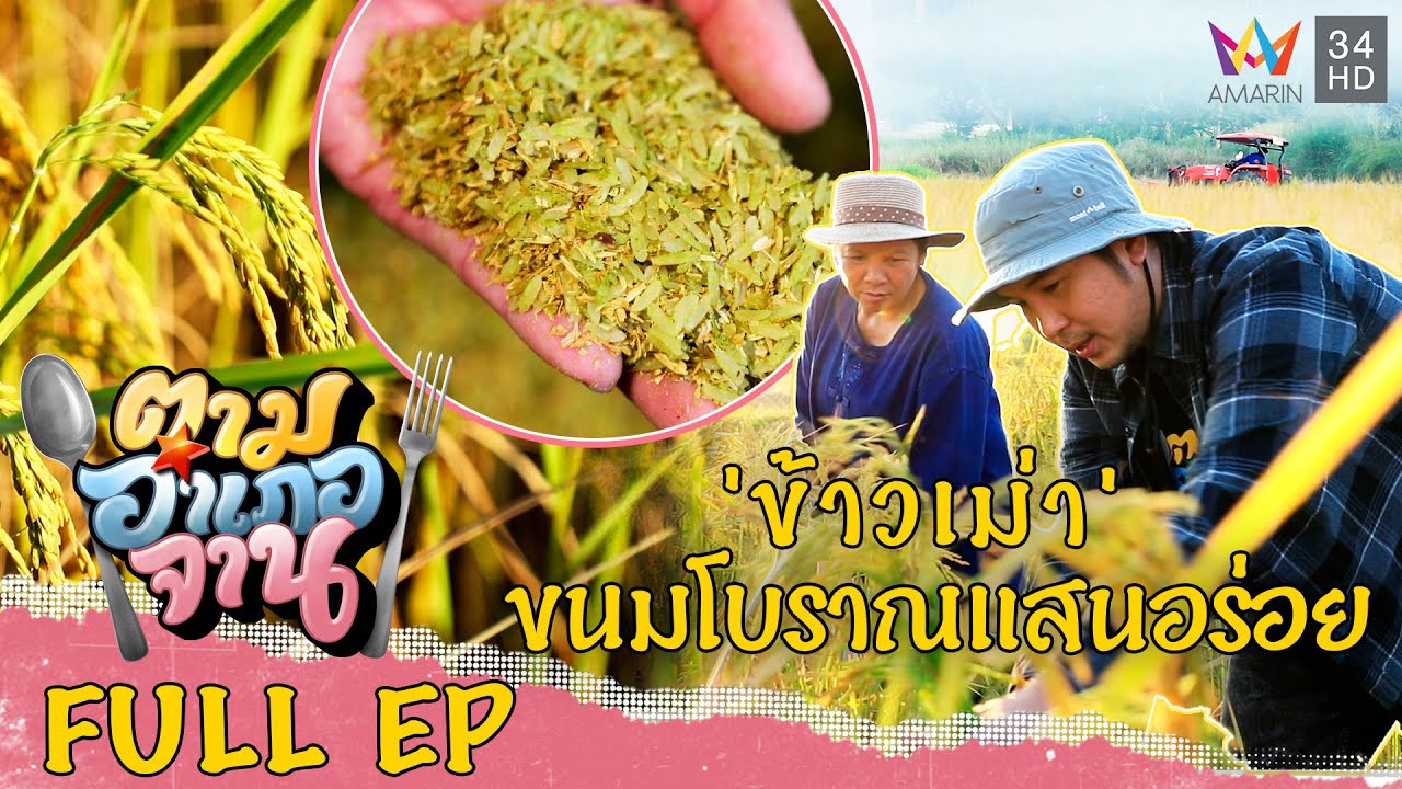 ลุยนาเกี่ยวข้าวเอามาทำ ข้าวเม่า ขนมไทยโบราณแสนอร่อย จ.อุดรธานี | ตามอำเภอจาน | 17 ธ.ค.65 Full EP