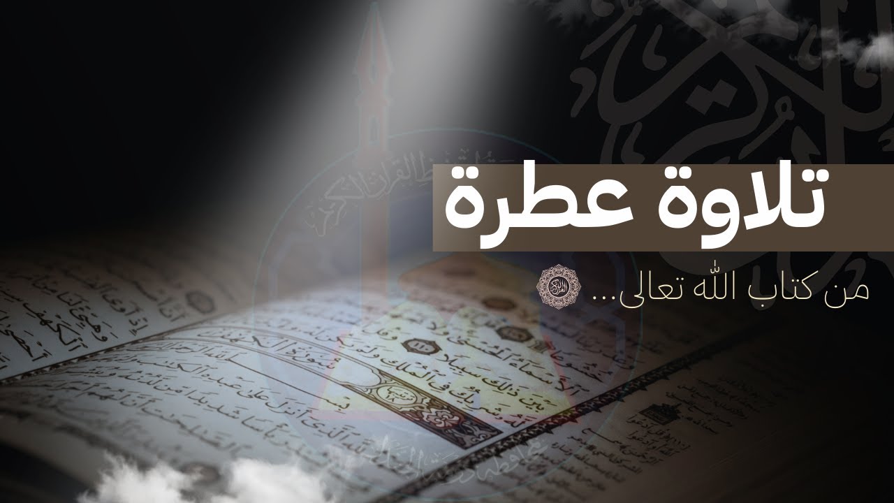 سورة الجاثية للقارئ / ريان المفرج 