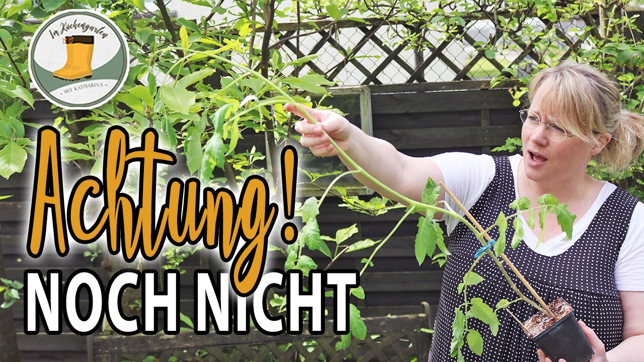 ⚠️ Der größte Fehler bei der 🍅 Tomatenaussaat (fast jeder macht ihn!)