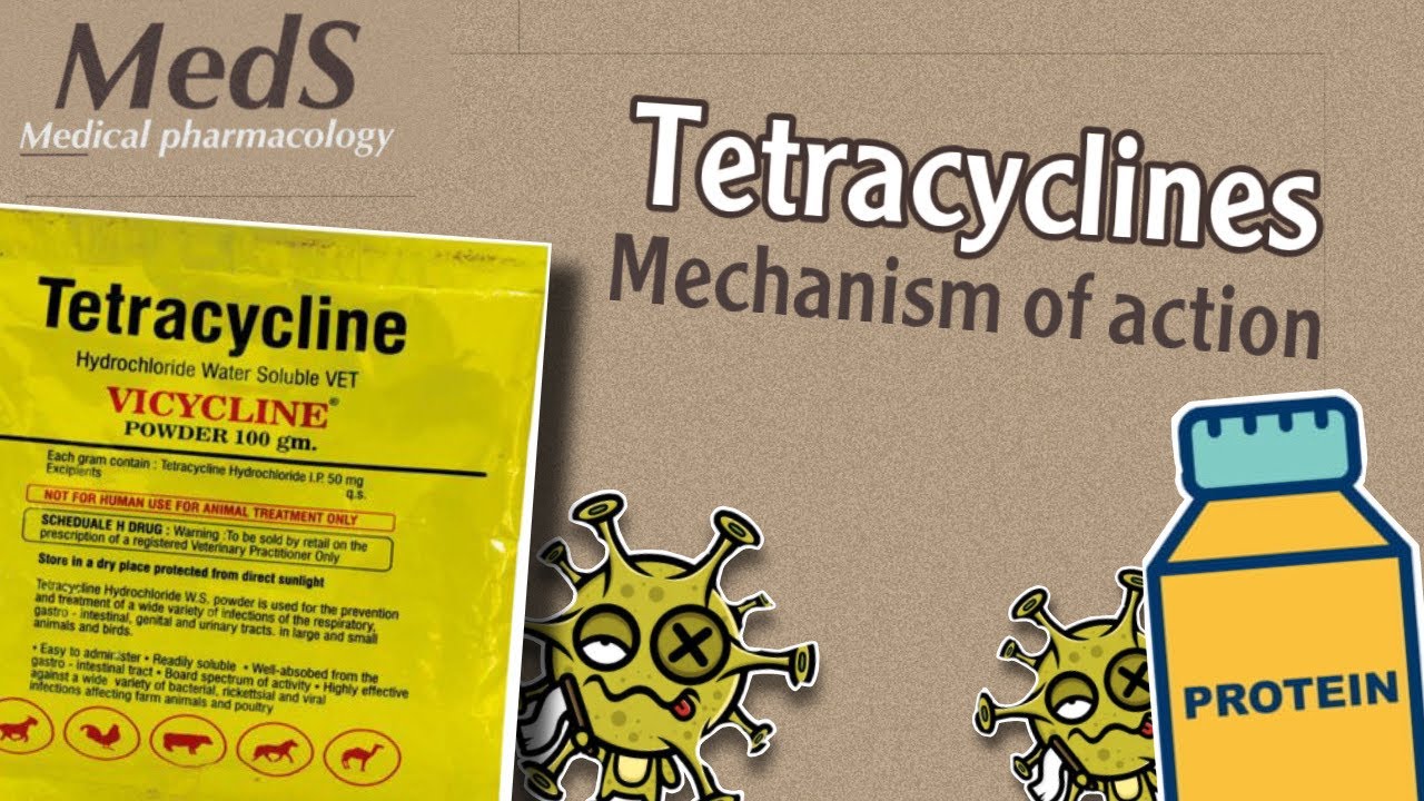 Proteins synthesis inhibitors ( Tetracyclines ) mechanism of action | MedS