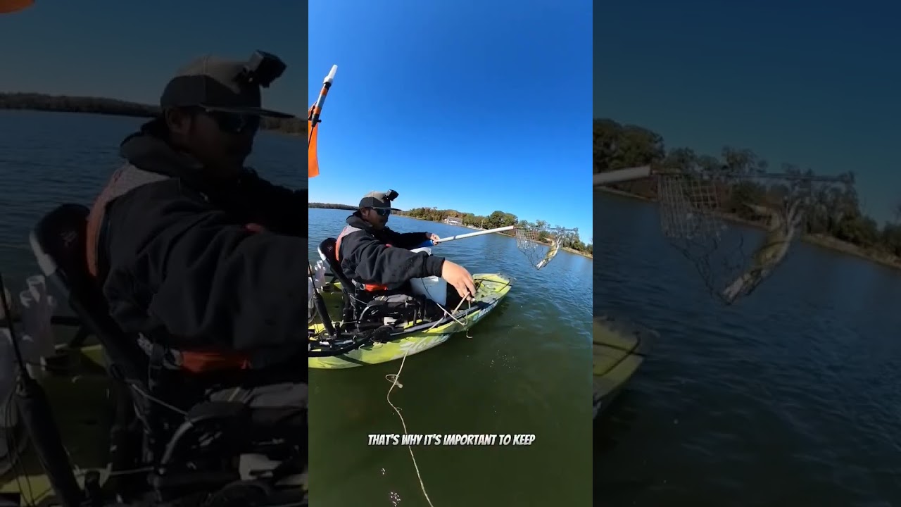 Trotline Kayak Crabbing. #shorts