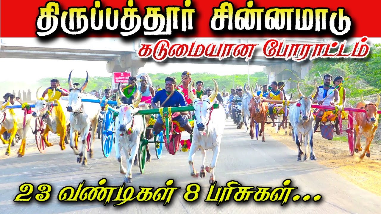 திருப்பத்தூர்-சின்னமாடு-பந்தயம்_25.01.2026