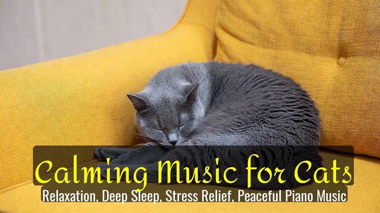 Calming Music for Cats - Relaxation, Deep Sleep, Stress Relief, Peaceful Piano Music | Season 83