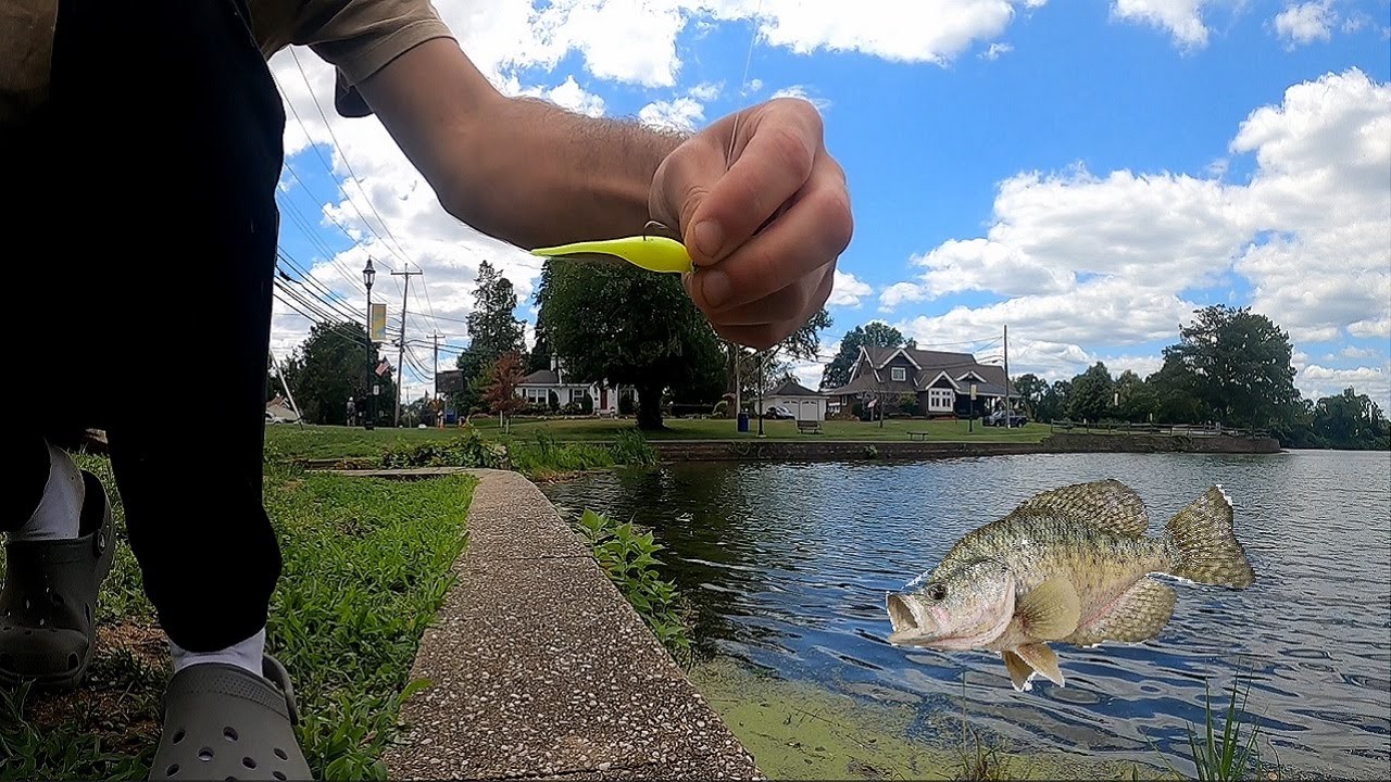 EASY PANFISH! NJ Freshwater Fall Fishing - Mission 1 (Solo)