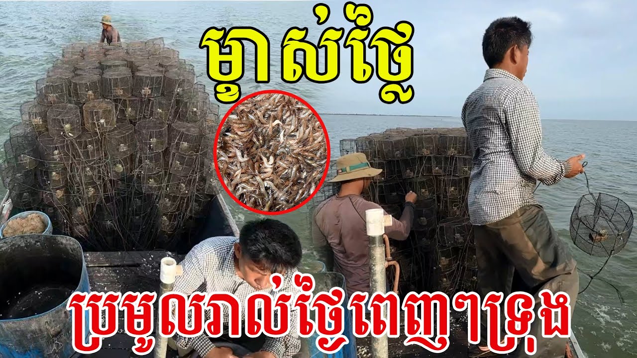 សុទ្ធតែកំពឹសលេខ១ ប៉ុនៗកូនដៃ