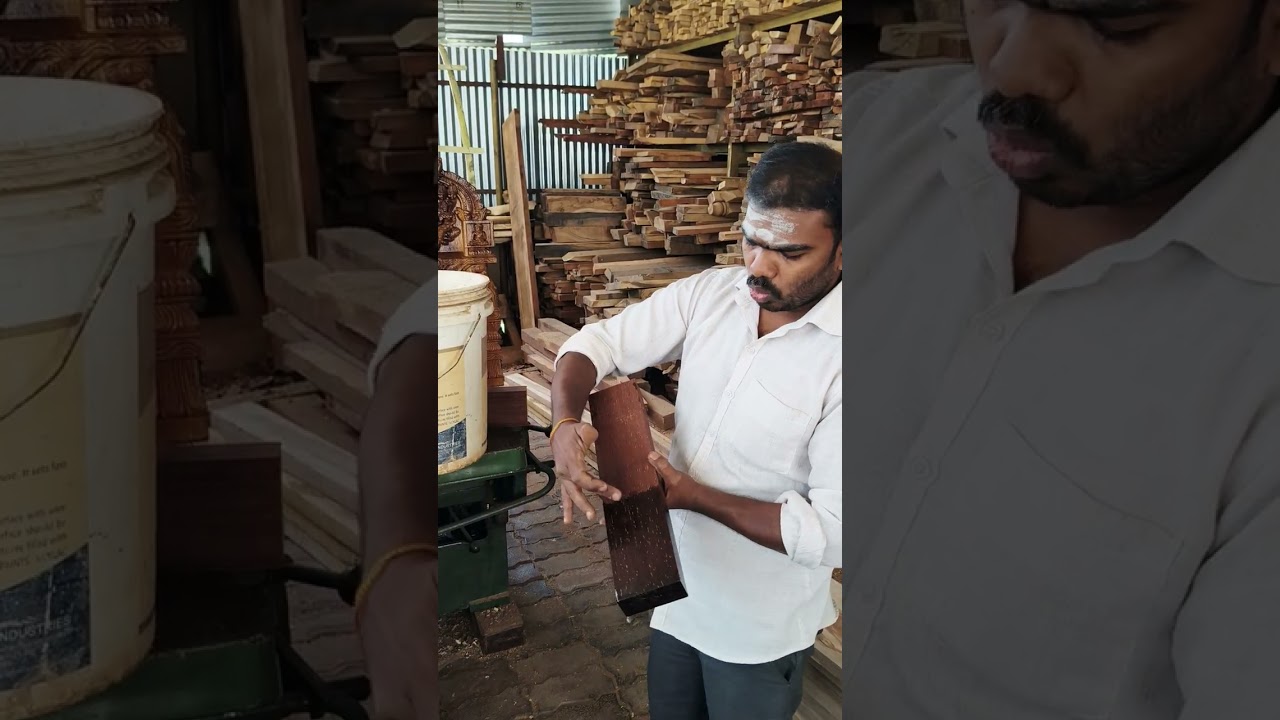 மயில் காவடி விளக்கங்கள் வேங்கை மரம் தெரிஞ்சுக்கங்க வேங்கை மரம் என்ன ரகத்தில் இருக்கும் நான்கு ரகம்