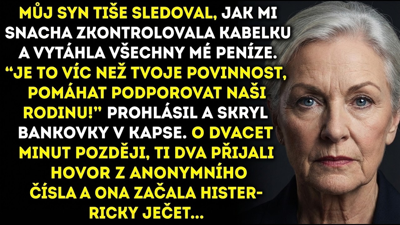 Syn jen stál, když snacha kradla peníze z mé kabelky.