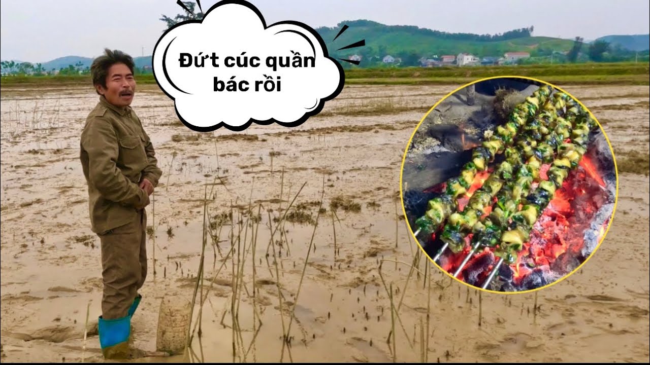 Đi Bắt Ốc Bươu Về Nướng Siêu Ngon, Cười Rách Mồm Vì Bác Thông Lội Bùn Bị Đứt Cúc Quần | HUY ANH TV