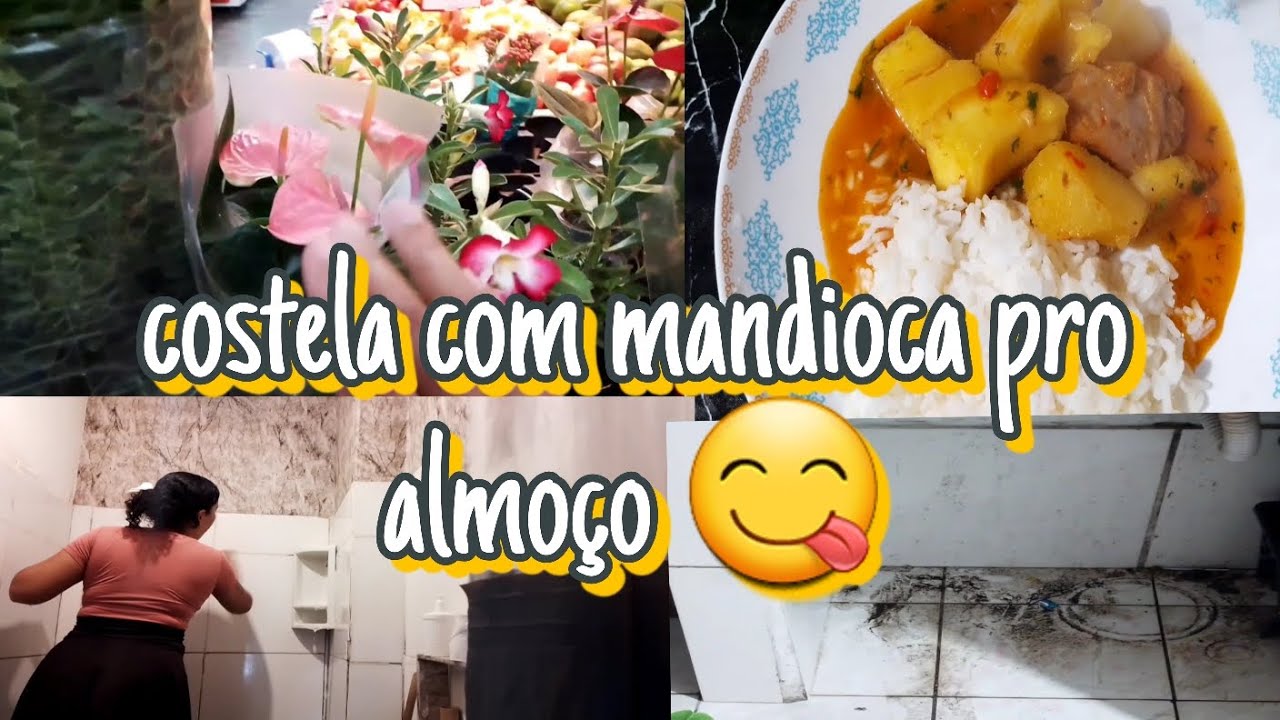 Comida caseira/ limpeza pesada no banheiro/ limpeza na sala e cozinha/compras da semana 