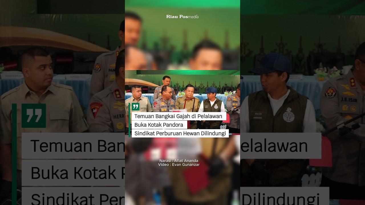 Temuan Bangkai Gajah di Pelalawan Buka Kotak Pandora Sindikat Perburuan Hewan Dilindungi