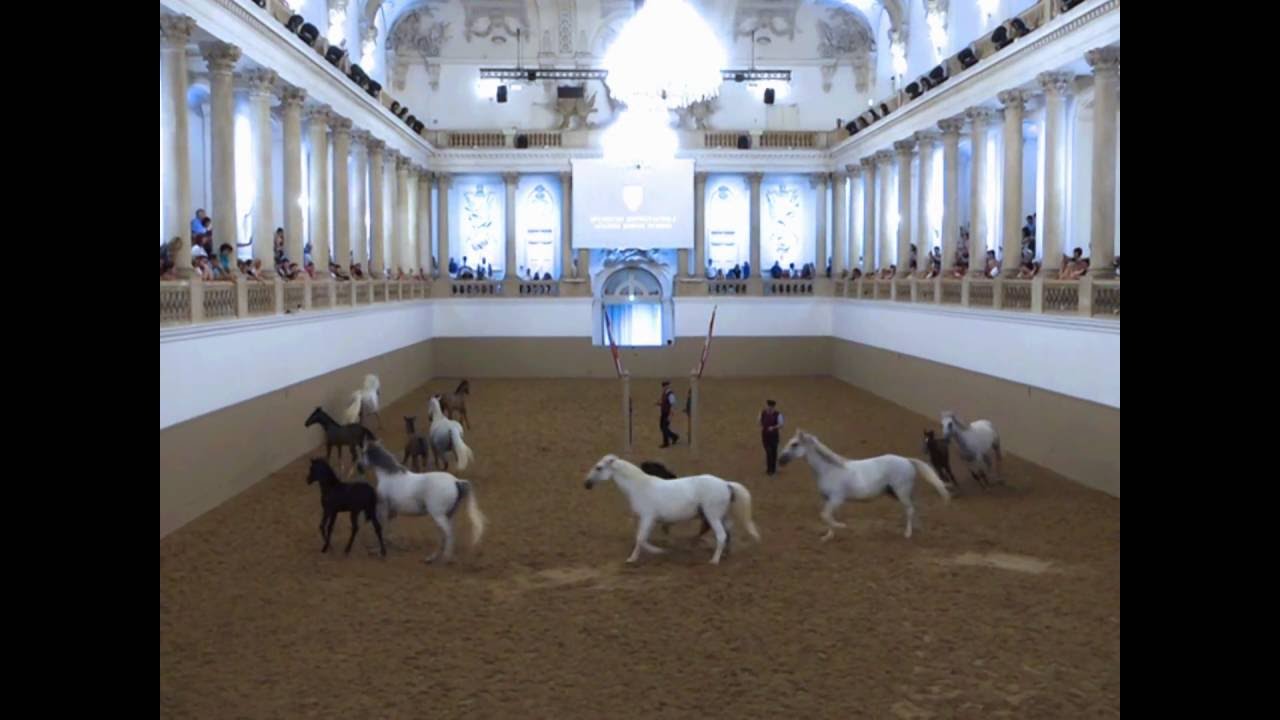 Piber meets Vienna
