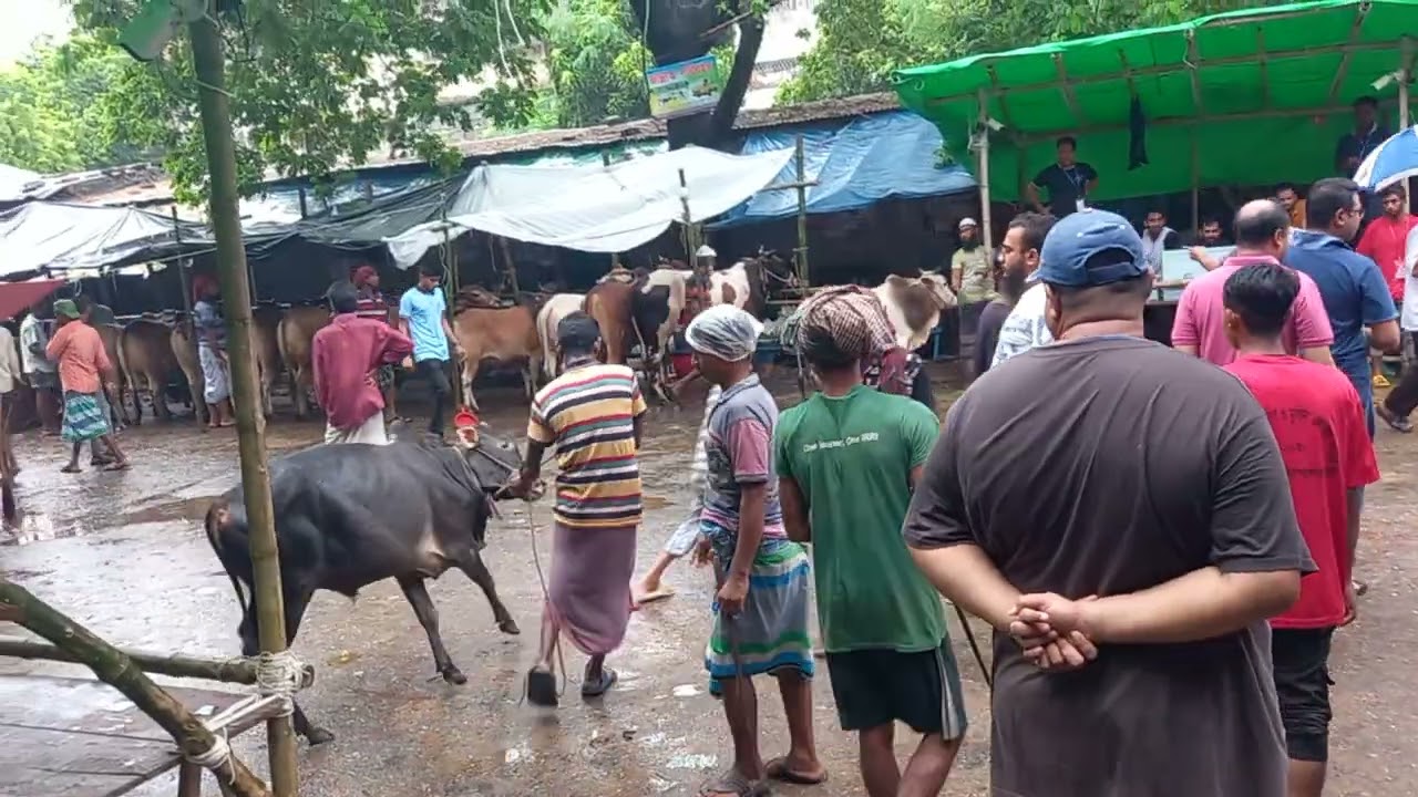 কমলাপুর গরুর হাট