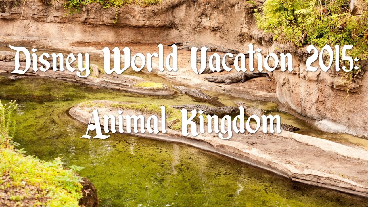 Disney Vacation: Animal Kingdom