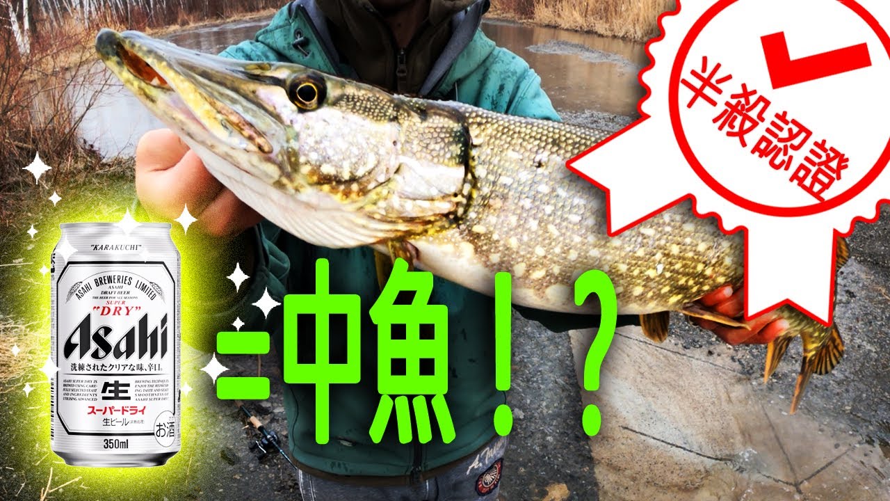 路亚狗鱼 ！路亞狗魚實釣 含水下畫面（Pike Fishing）