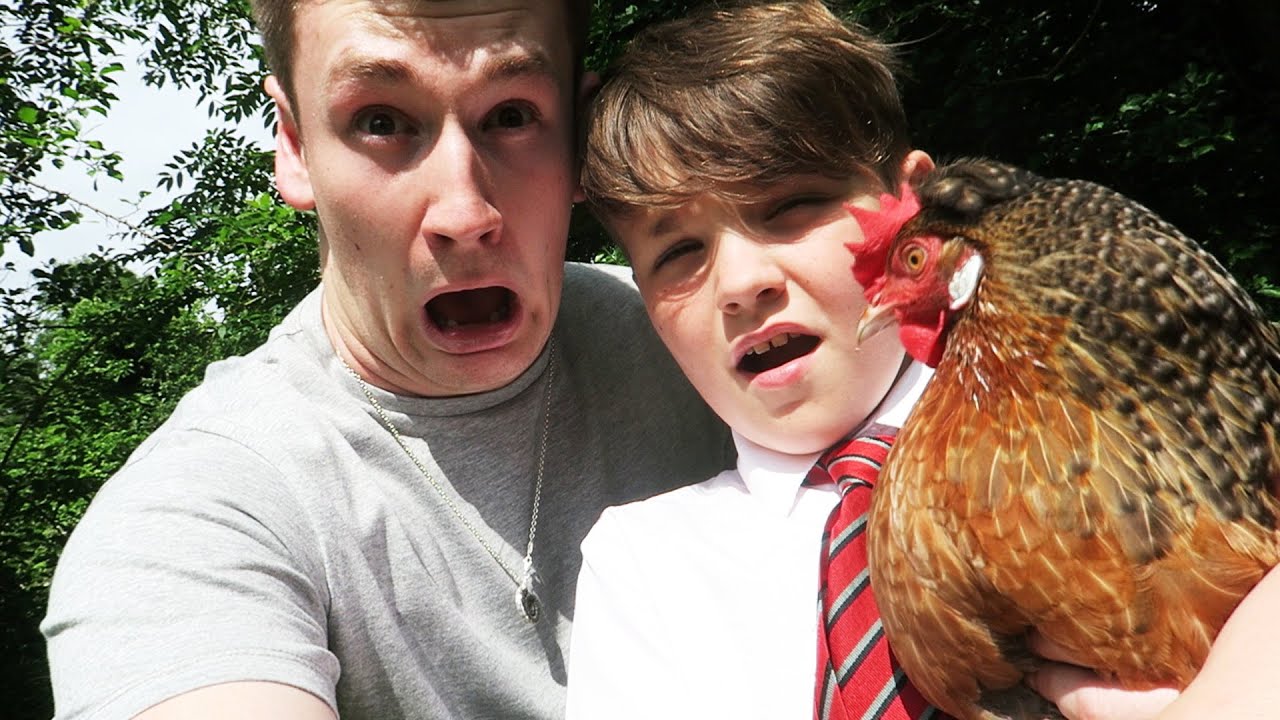 OUR PET CHICKEN