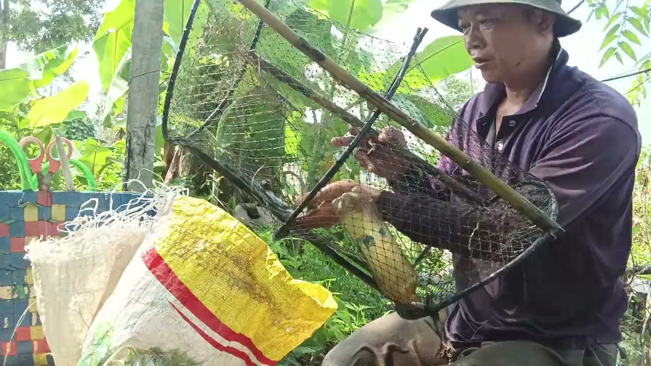 Đặt lờ mùa này k có cá.