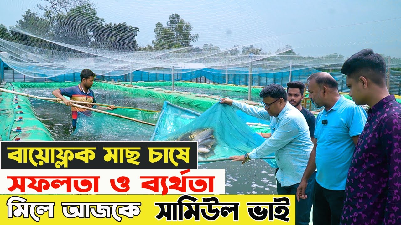 তরুণ শিক্ষিত উদ্যোক্তা সামিউল ভাইয়ের বায়োফ্লকে মাছ চাষের সফলতার ও ব্যার্থতার বাস্তব ২টি  চিত্র