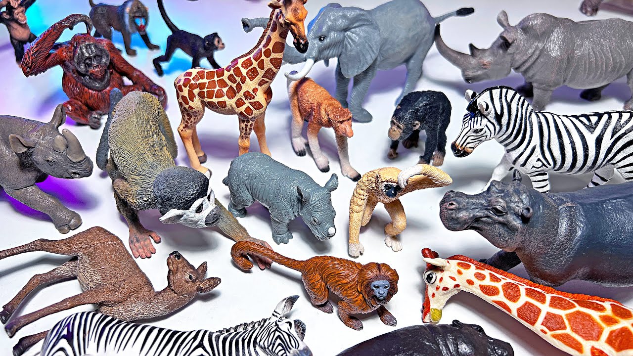 New African Animals, Deers, Primates, Chimpanzee, Giraffe, Gorilla, Zebra, Monkey, Gibbon, Okapi