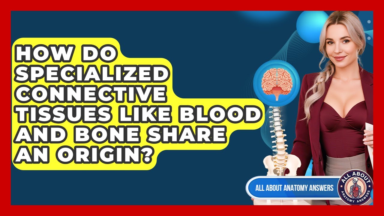 How Do Specialized Connective Tissues Like Blood And Bone Share An Origin?