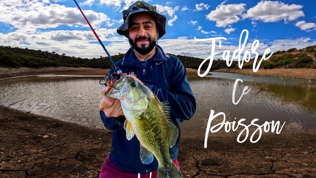 مسابقة صيد  أضخم أسماك القاروص  في أحضان الطبيعة المغربية Big Bass / Competition. Morocco   Part 2