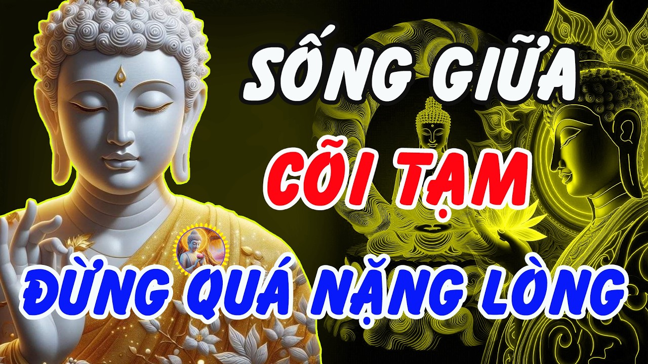 Lời Phật Dạy: Sống Giữa Cõi Tạm – Đừng Nặng Lòng, Buông Bỏ Để Tâm An Và Đời Bình Yên