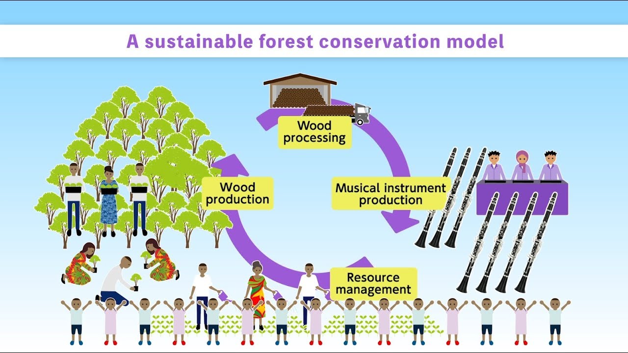 Sustainable Forest Conservation Project in Tanzania