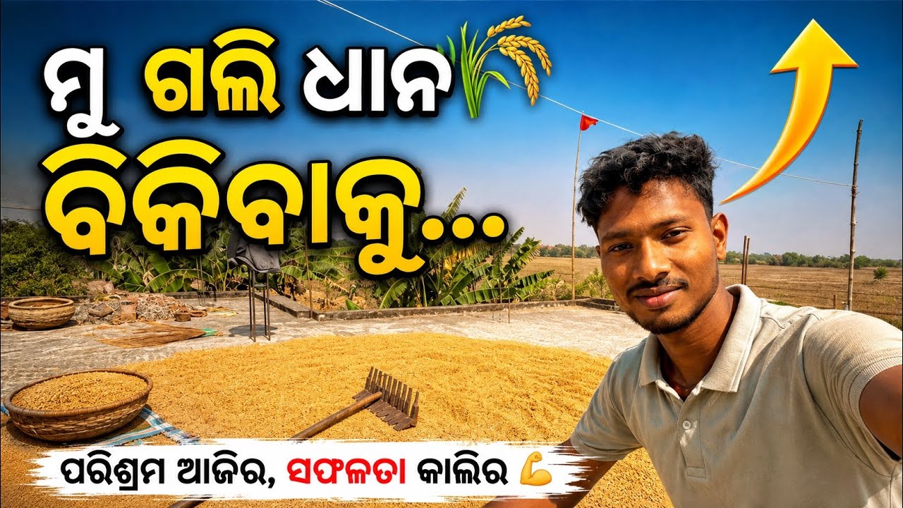 Muh Gali Gharaku Dhana bikiba lagi..#youtube#dailyvideo#vlog#love#family