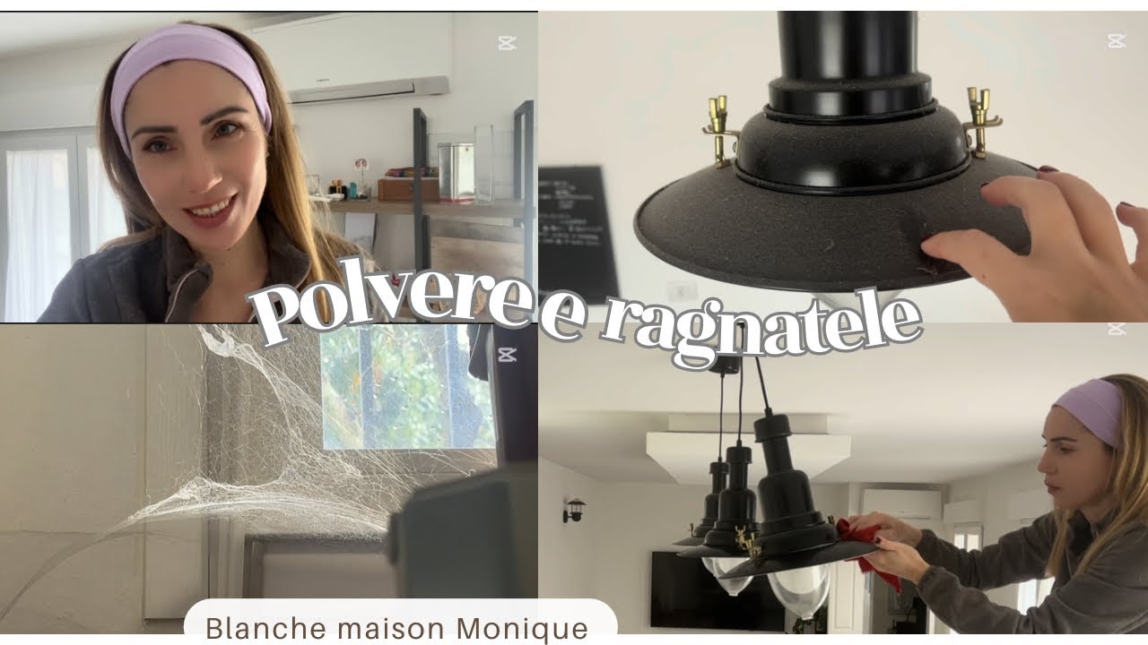 Come eliminare polvere e ragnatele velocemente | Pulizia casa profonda e facile