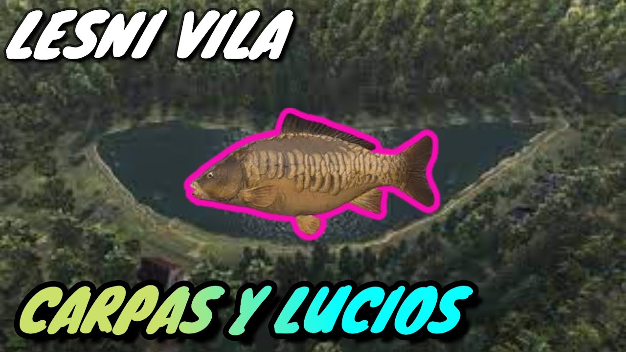 ⭐️LESNI VILA CARPA COMUN, CARPA ESPEJO Y LUCIO COMUN ⭐️🐋 DONDE Y COMO PESCARLOS!!🐋