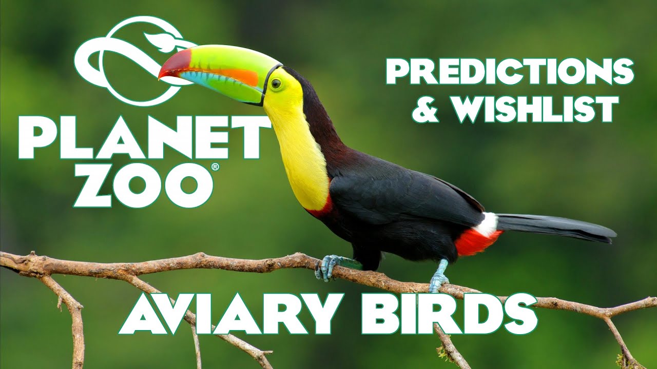 Planet Zoo: Predictions and Wishlist - Aviary Birds