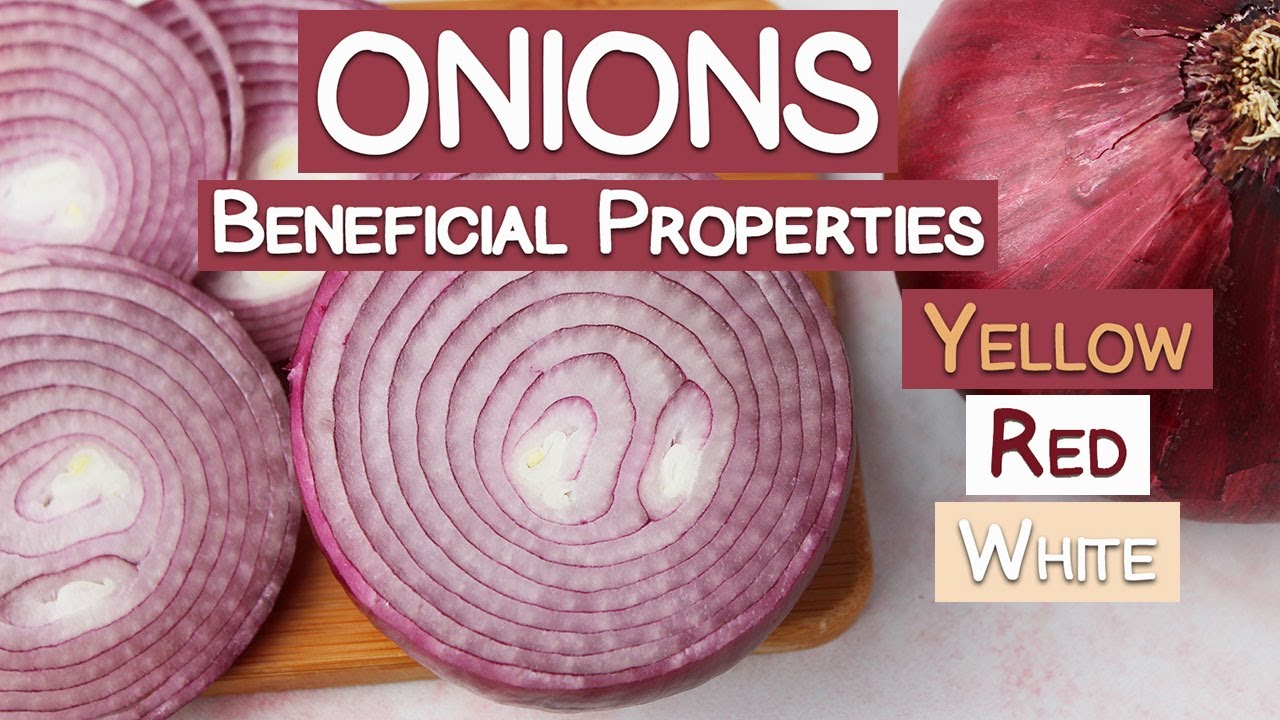 Onions and Their Beneficial Properties | Yellow, Red & White