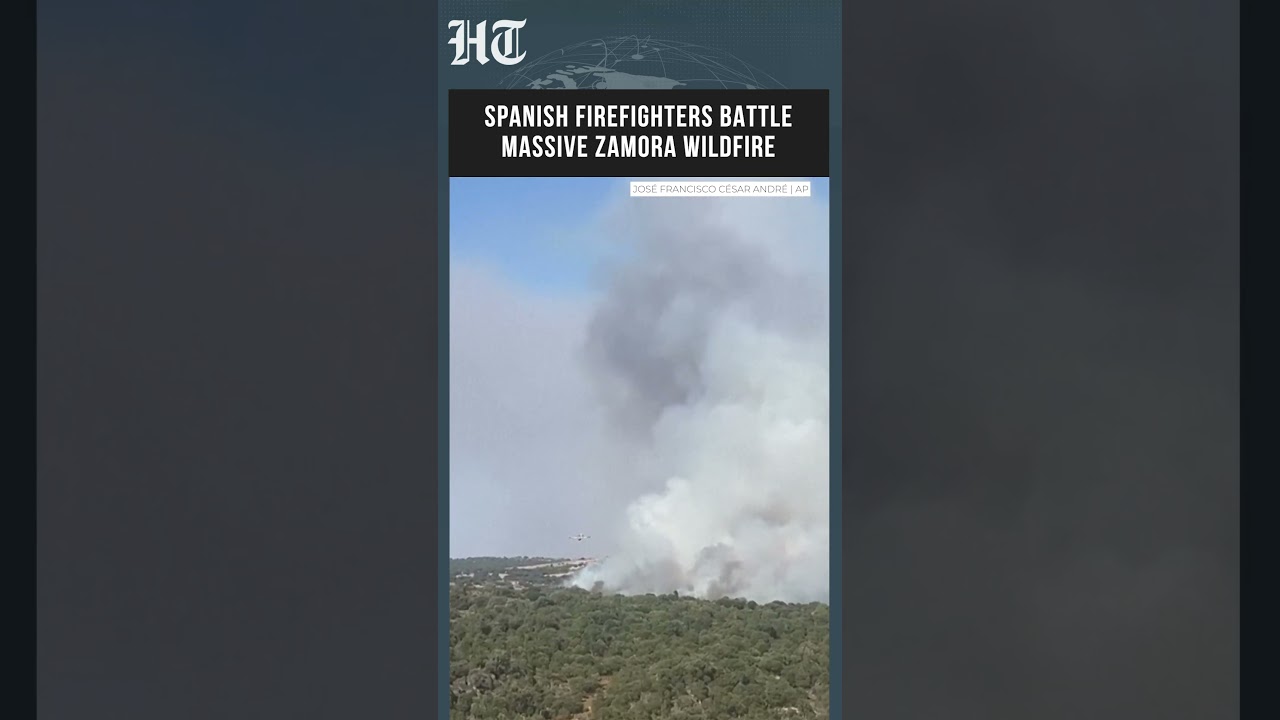 Spanish Firefighters Battle Massive Zamora Wildfire Near Portugal Border | #shorts
