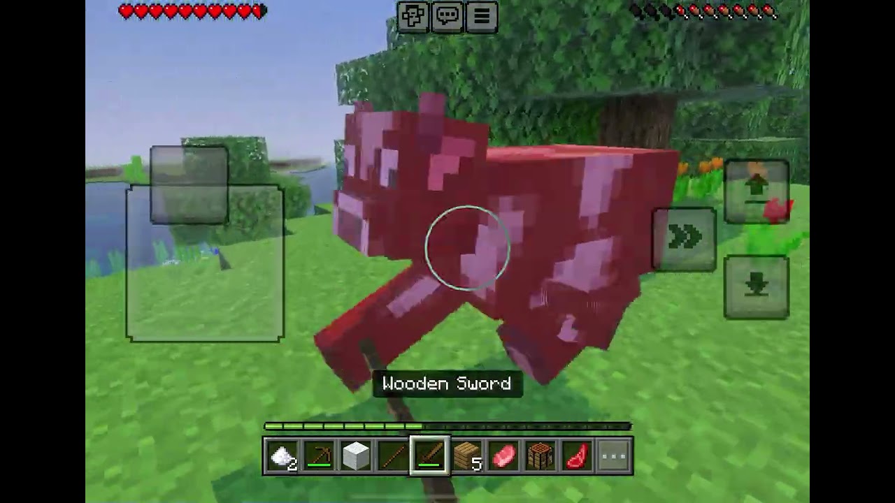 Minecraft part 1
