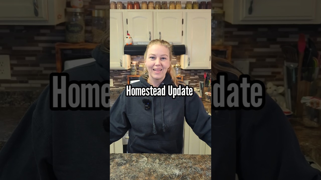 Homestead Update: What We&rsquo;re Raising This Spring (Chicks, Meat Birds & Goats)