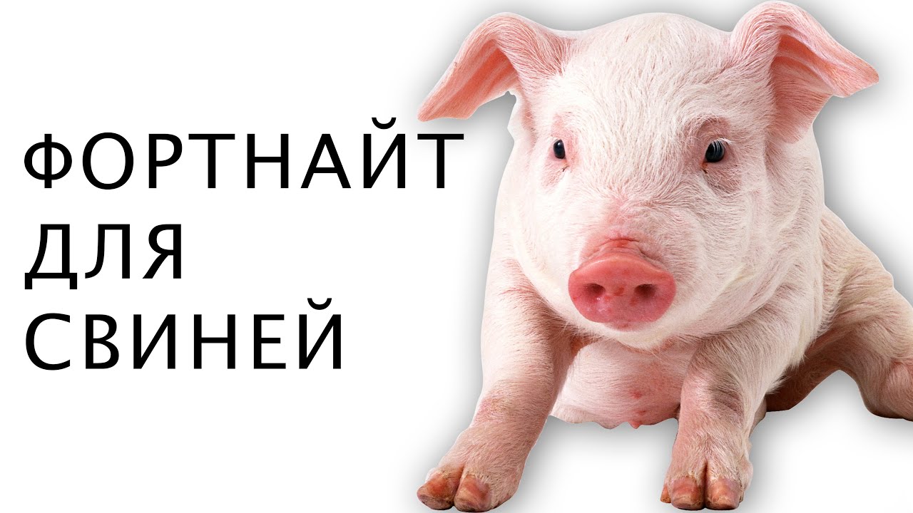 ФОРТНАЙТ ДЛЯ СВИНЕЙ