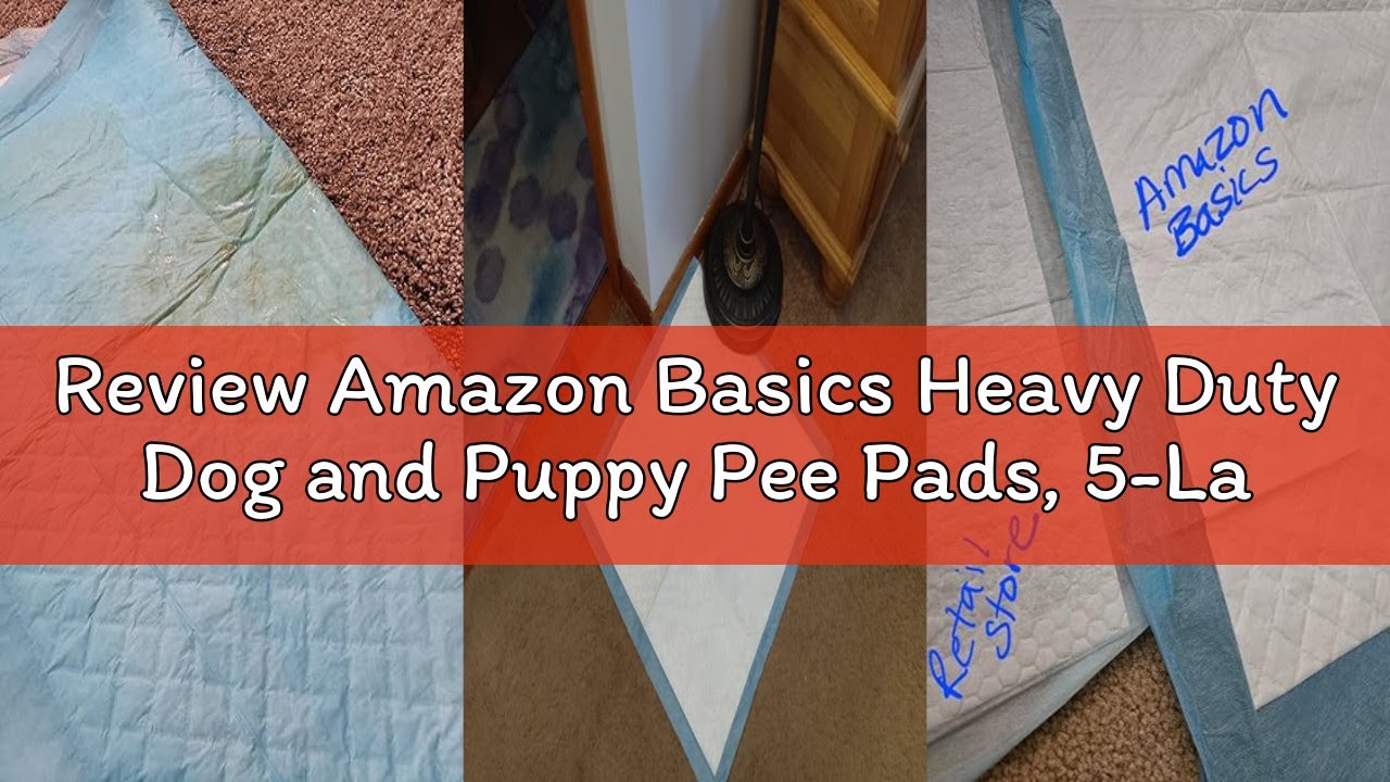 Review Amazon Basics Heavy Duty Dog and Puppy Pee Pads, 5-Layer Leak-Proof Ultra Absorbent, Quick-Dr