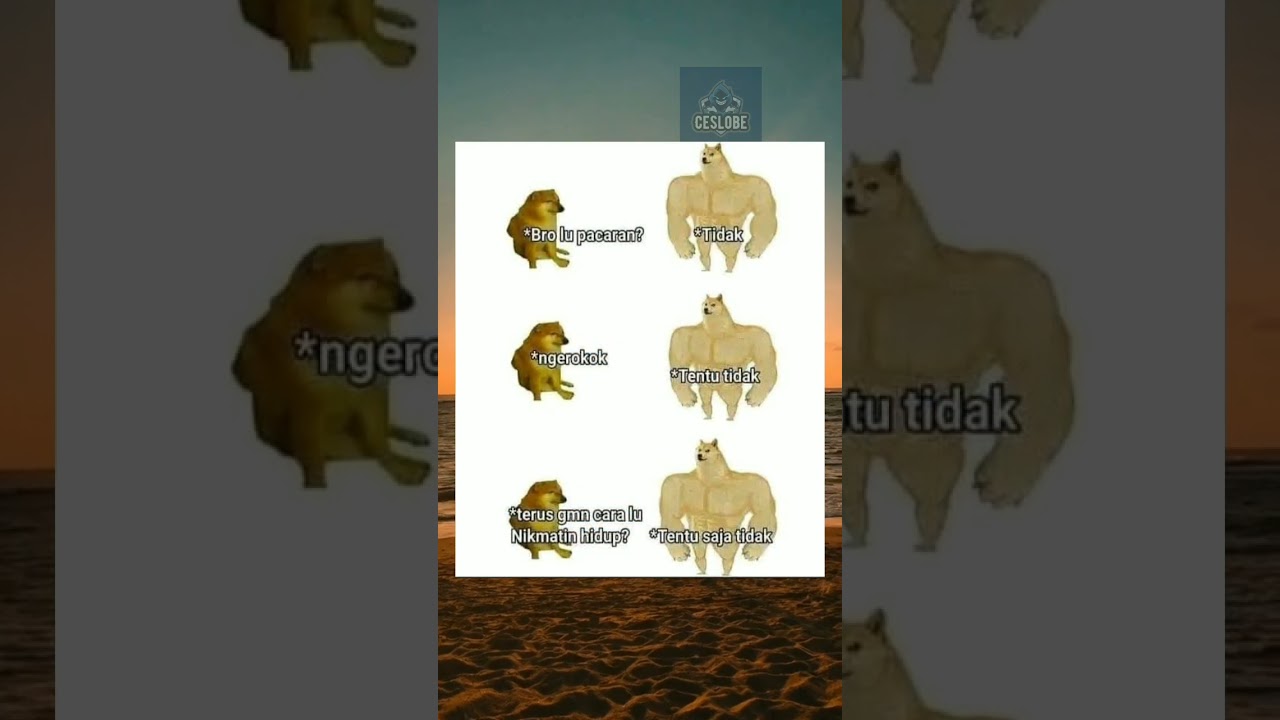 #humor #memeindo