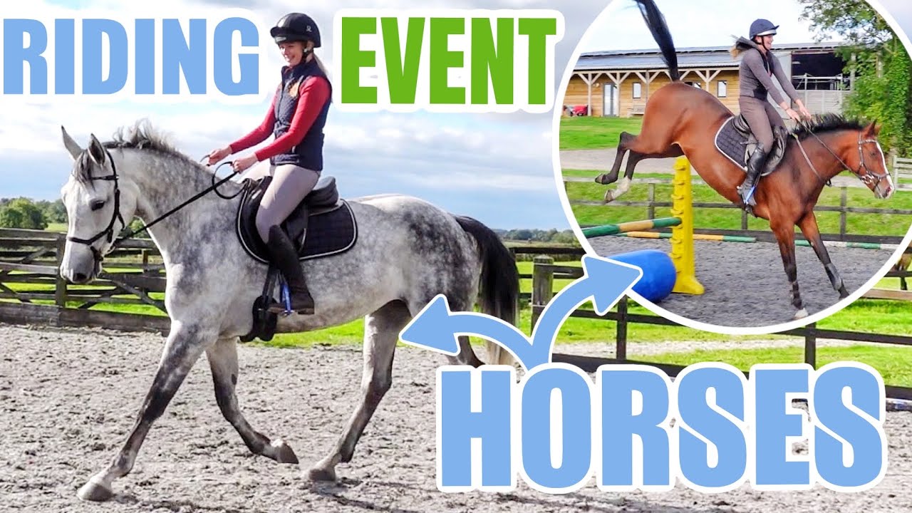 RIDING HORSES I'VE NEVER MET ~ Pony day out with G to jump some event horses