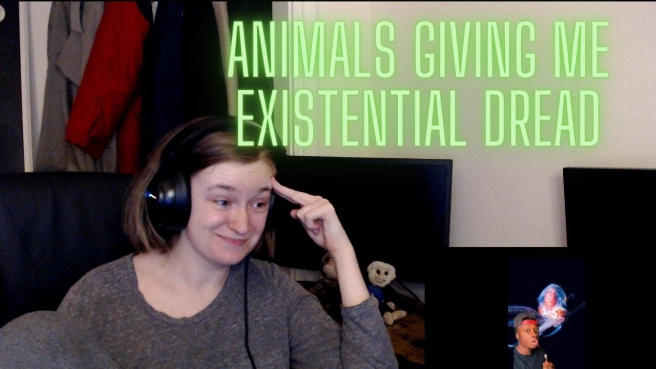 Animals that got the middle finger from evolution - REACTION