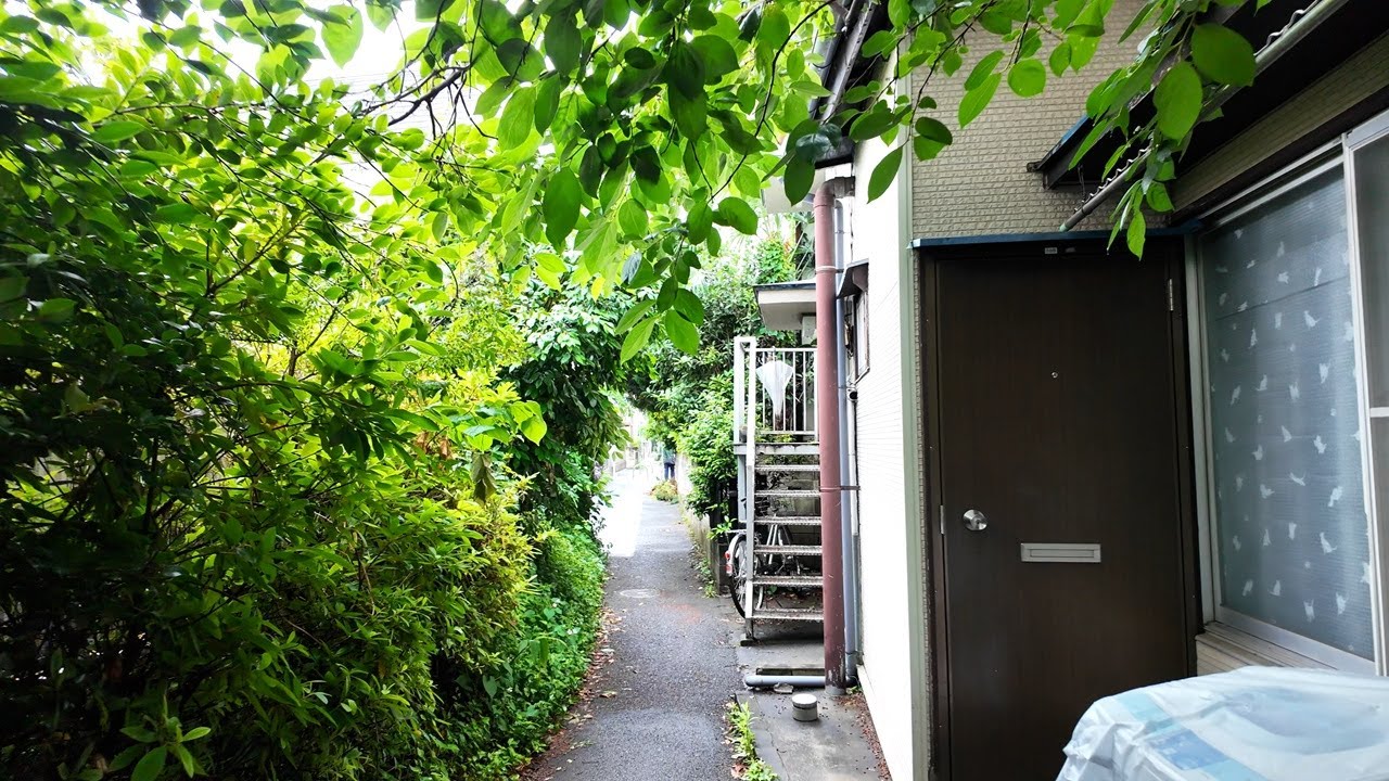 新高円寺を散歩【4K東京街歩き】japan tokyo 4K walkingtour/shinkoenji