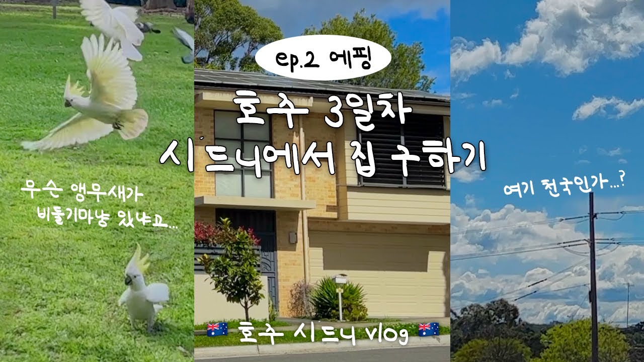 호주 Vlog🇦🇺 Ep.2 시드니 에핑에서 쉐어하우스 집 구하기 | 집값이 미쳤어요💸, 공원에서 만난 야생앵무새 코카투🦜