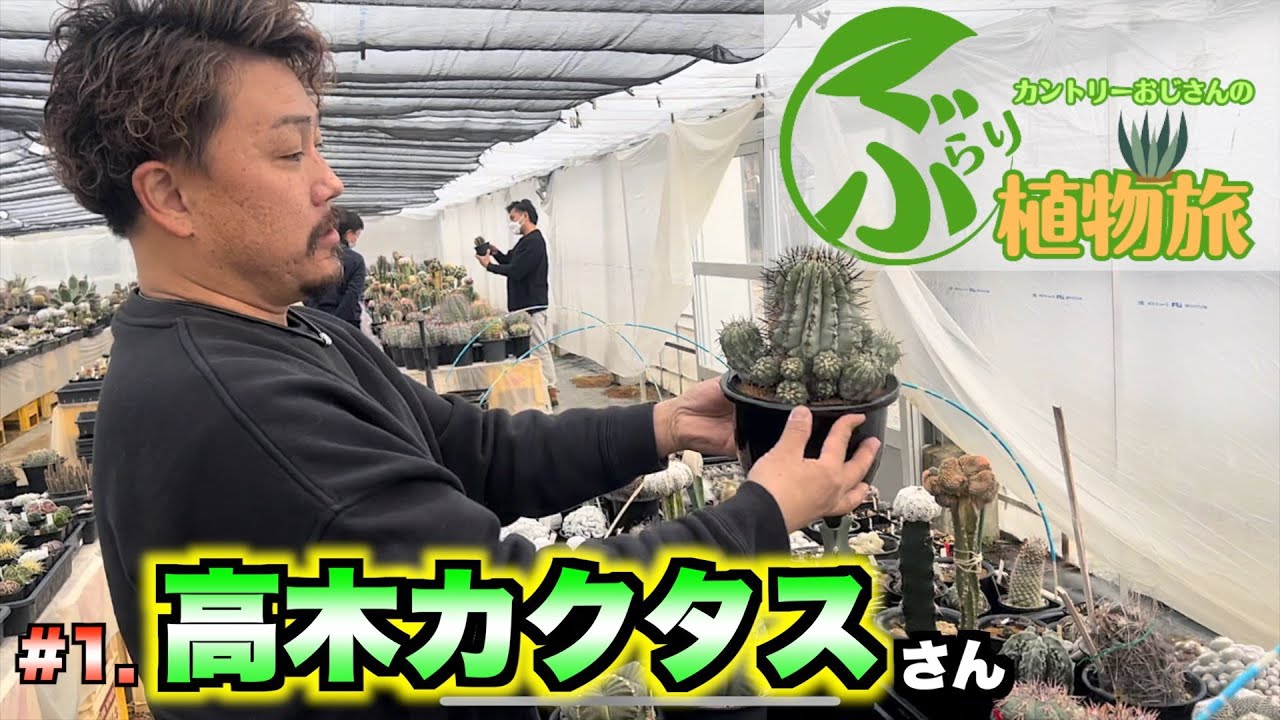 【観葉植物】長野県へサボテン仕入れに行ってきた！【カントリーおじさんのぶらり植物旅】