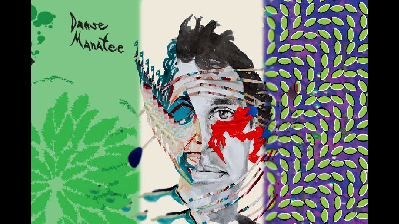 Animal Collective - Worst to Best
