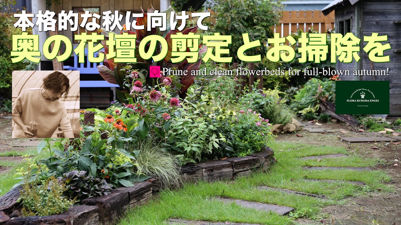本格的な秋に向けて 奥の花壇の剪定とお掃除を！【秋のガーデニング】-フローラ黒田園芸- Autumn gardening/ガーデニング/園芸/庭/花壇