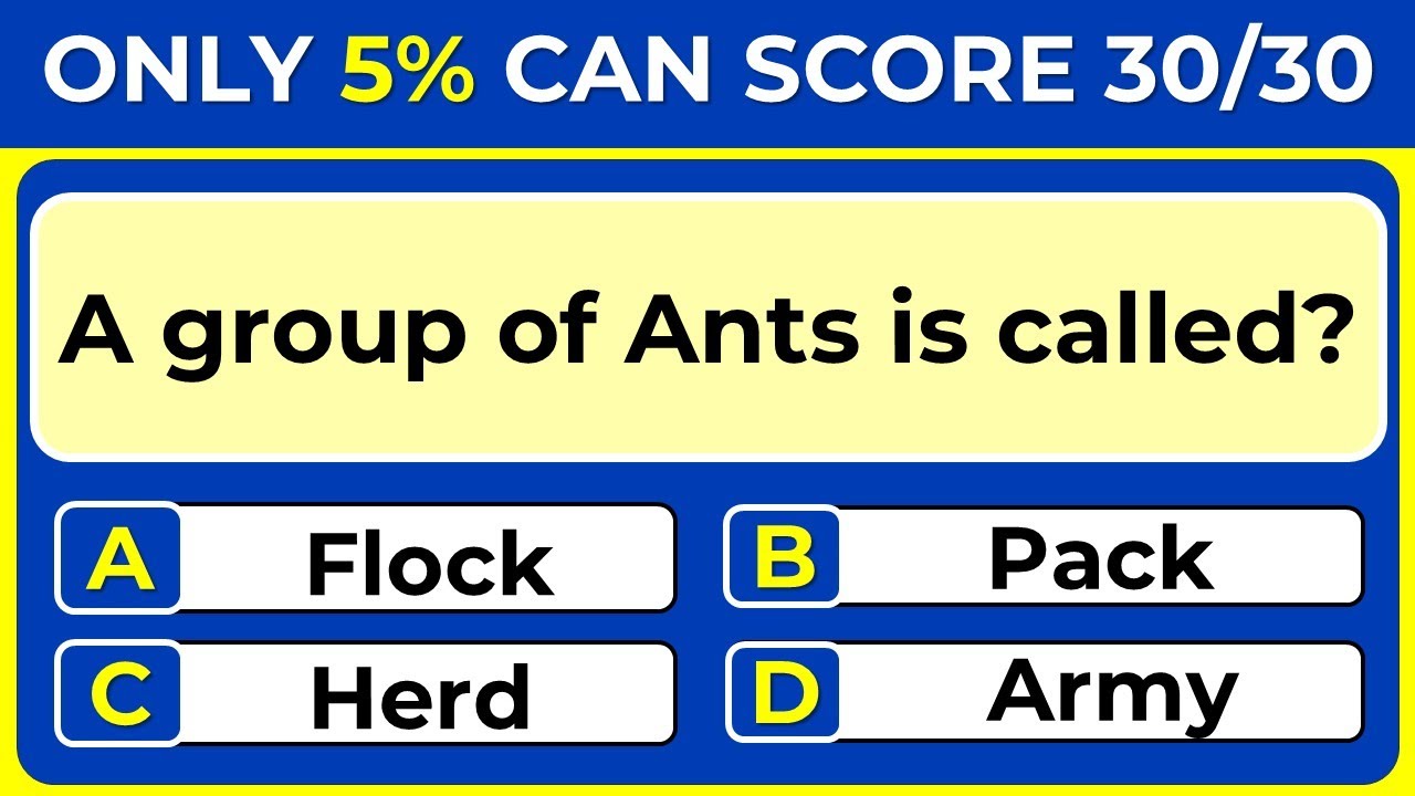 Ultimate Vocabulary Quiz: Can you Score 100%?