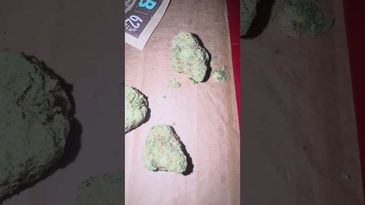 Britz by doe UK medical cannabis #uk #cannabisheals #medical